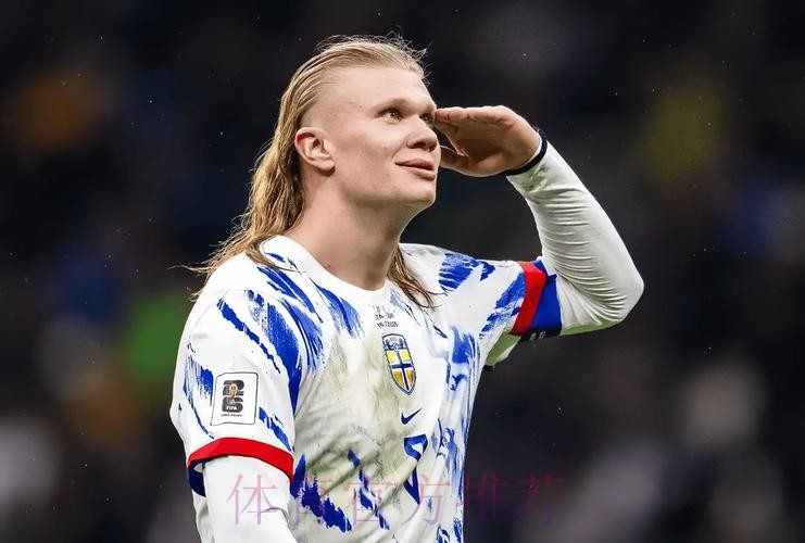 最新世界杯葡萄牙哈兰德晋级分析深度解读